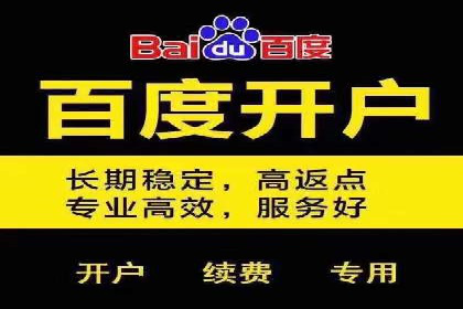 百度竞价推广与SEO结合的策略——以某科技公司为例